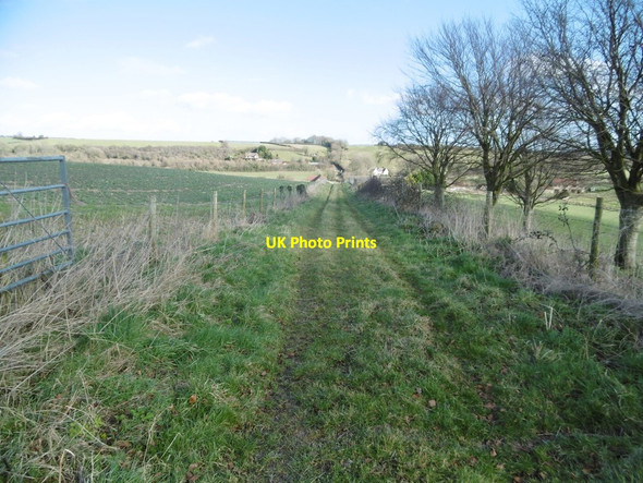 Photo 6"x4" Affpuddle, Roman road Tolpuddle c2018
