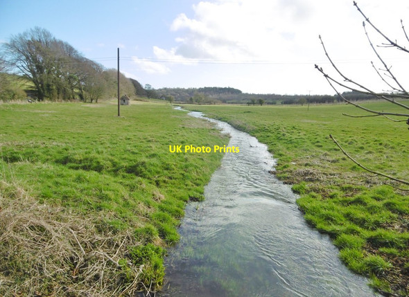 Photo 6"x4" Affpuddle, Milborne Brook Briantspuddle c2018