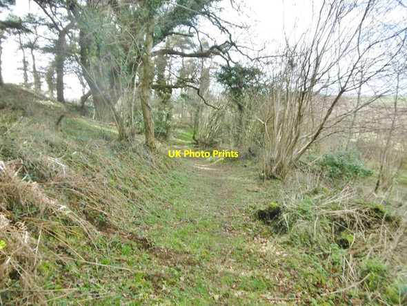 Photo 6"x4" Turners Puddle, bridleway Throop c2018