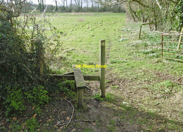 Photo 6"x4" Briantspuddle, disused stile Briantspuddle c2018