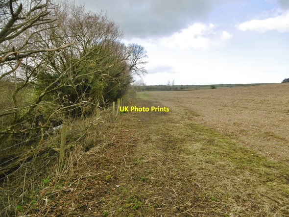 Photo 6"x4" Briantspuddle, footpath Briantspuddle c2018