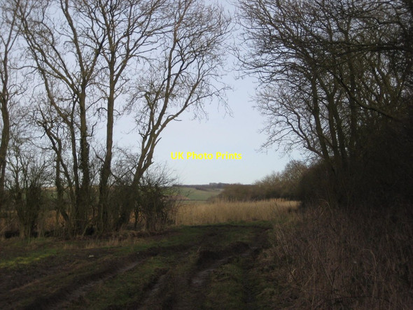 Photo 6"x4" Green Lane Burnby c2018
