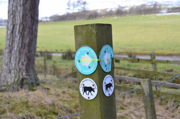 Photo 6"x4" Waymarks, Cross Borders Drove Road Howford\/NT3136 c2018