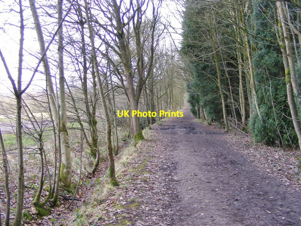 Photo 6"x4" Baggeridge Track Sedgley c2018