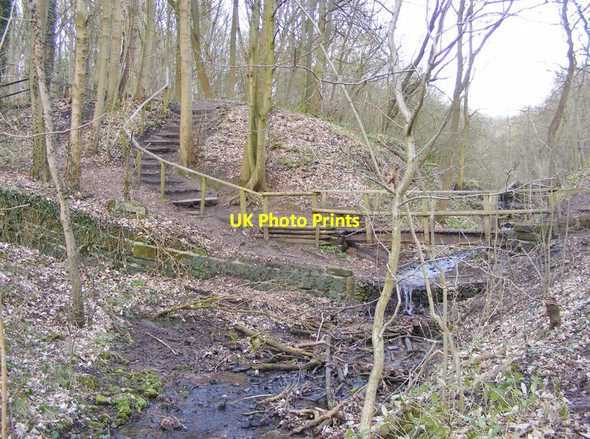 Photo 6"x4" Baggeridge Steps Sedgley c2018