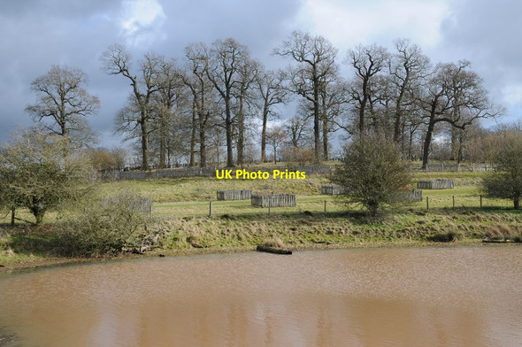 Photo 6"x4" Trees above Brick Kiln Pool Astwood\/SO9365 c2018