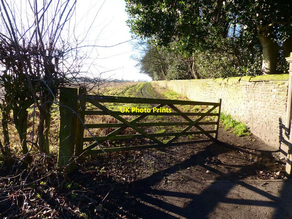 Photo 6"x4" Footpath beside wall surrounding Crosby Hall Little Crosby c2018