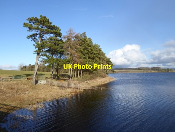 Photo 6"x4" North-west corner of Hallington East Reservoir Colwell\/NY9575 c2018