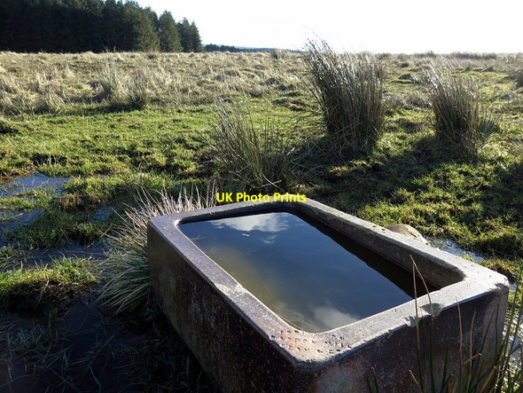 Photo 6"x4" Water trough above Meggie's Dene Burn Uppertown\/NY8672 c2018