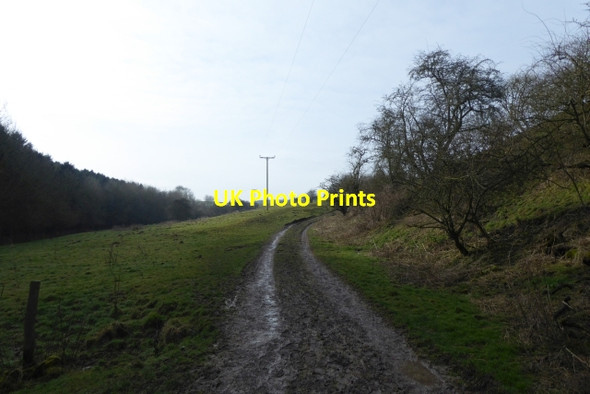 Photo 6"x4" Track towards Wharram Percy Wharram Percy c2018