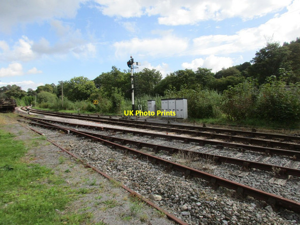 Photo 6"x4" Home signal at Staverton Shinner's Bridge c2017