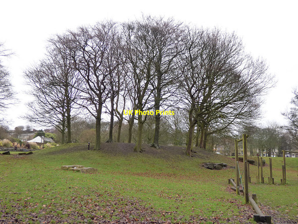 Photo 6"x4" Harold Park: clump of trees Buttershaw c2018