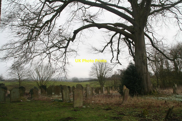Photo 6"x4" Snowdrops in St. Nicholas' churchyard, Swaby (2) Swaby c2018