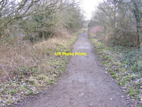 Photo 6"x4" Railway Walk Wombourne c2018