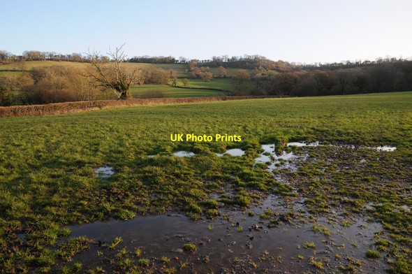 Photo 6"x4" Farmland Bushy Common South Widcombe c2018