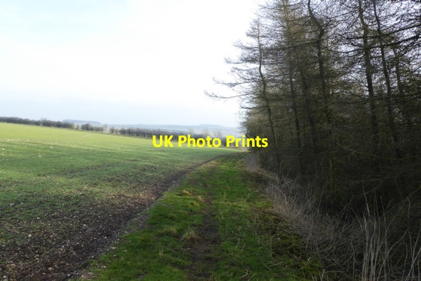 Photo 6"x4" Field boundary Thixendale c2018