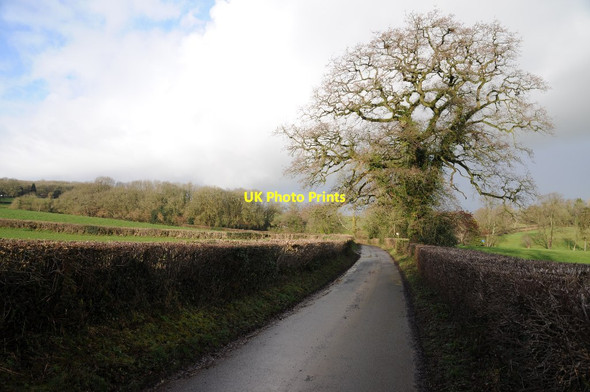 Photo 6"x4" Country road to East Harptree Greendown\/ST5753 c2018