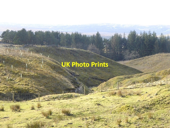 Photo 6"x4" Nattrass Gill Bayles c2018