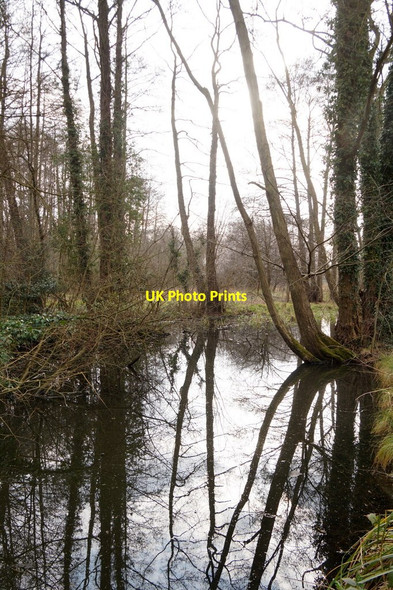 Photo 6"x4" Engine River, Walton-upon-Thames Walton-on-Thames c2018