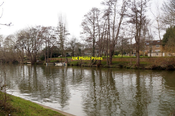 Photo 6"x4" Desborough Island in the Thames at Weybridge Walton-on-Thames c2018