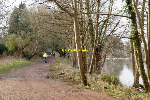 Photo 6"x4" Towpath beside the Thames at Weybridge Weybridge c2018