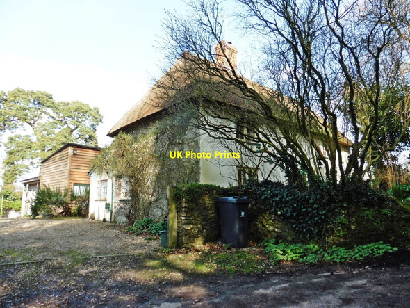 Photo 6"x4" Thatched house on Parsonage Lane Honiton\/ST1600 c2018