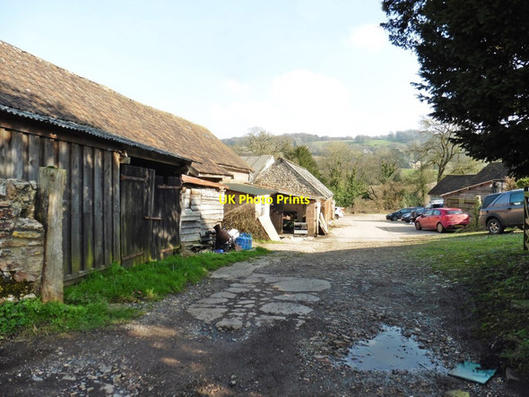 Photo 6"x4" Farmyard at Catshayes Gittisham c2018