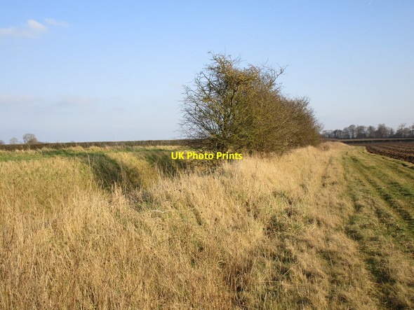 Photo 6"x4" Alongside Kelwell Drain Swine c2018