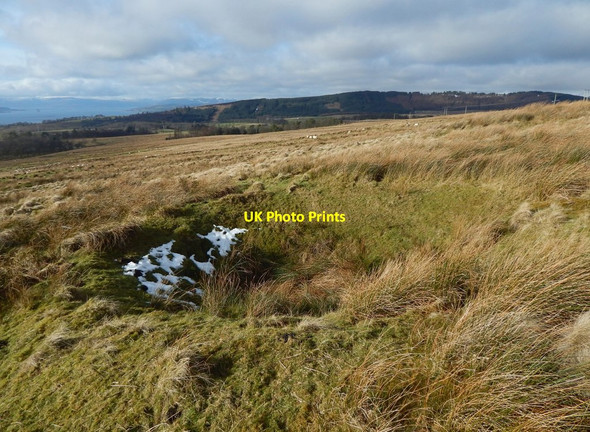 Photo 6"x4" Bomb crater Renton c2018