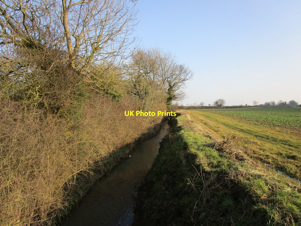 Photo 6"x4" Kelwell Drain Swine c2018