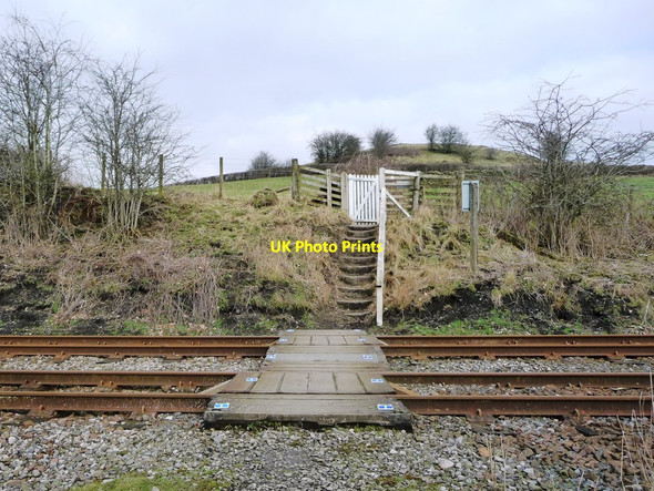 Photo 6"x4" Footpath crossing the railway, east of Bentham Station Greystonegill c2018
