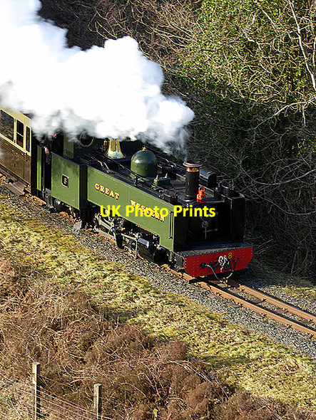 Photo 6"x4" No. 8 negotiates the curves at Derwen Devil's Bridge\/Pontarfynach c2018