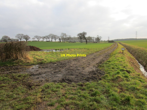 Photo 6"x4" Farm track to Leyfields Ompton c2018