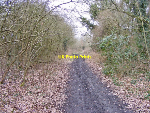 Photo 6"x4" Railway Path Claregate c2018