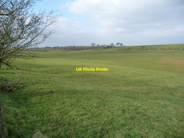 Photo 6"x4" Sheep field west of Pemberton Farm Greystonegill c2018