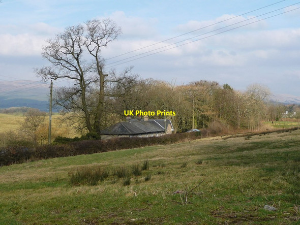 Photo 6"x4" Woodland on the periphery of Bentham golf course Barnoldswick\/SD6671 c2018