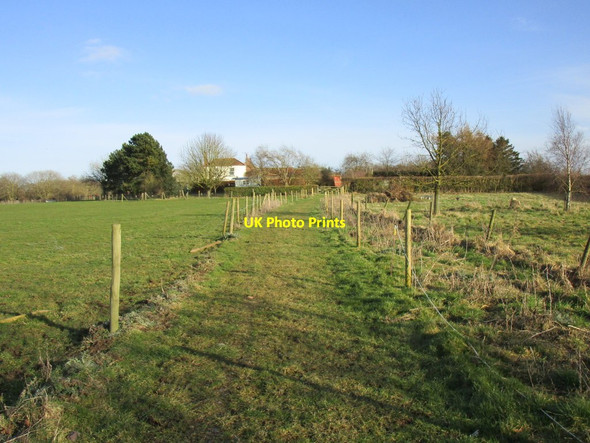 Photo 6"x4" Approaching Stud Farm Seaton\/TA1646 c2018