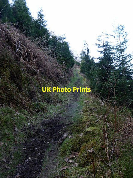 Photo 6"x4" Path up to the railway Devil's Bridge\/Pontarfynach c2018