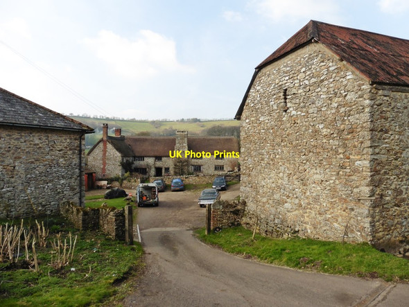 Photo 6"x4" Poltimore Farm Church Green\/SY1796 c2018