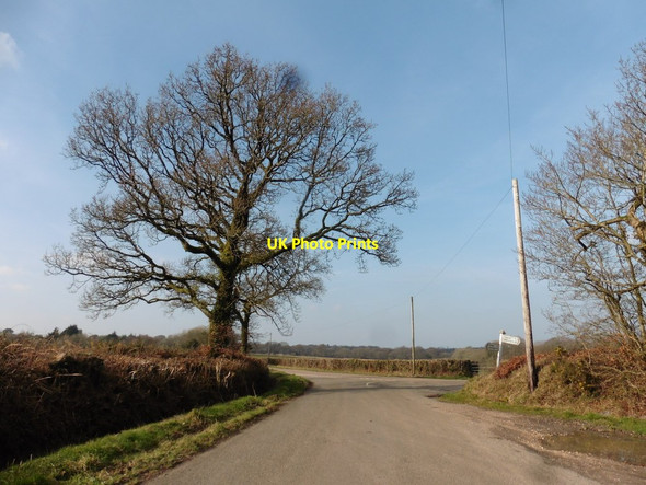 Photo 6"x4" Broaddown Cross Honiton\/ST1600 c2018