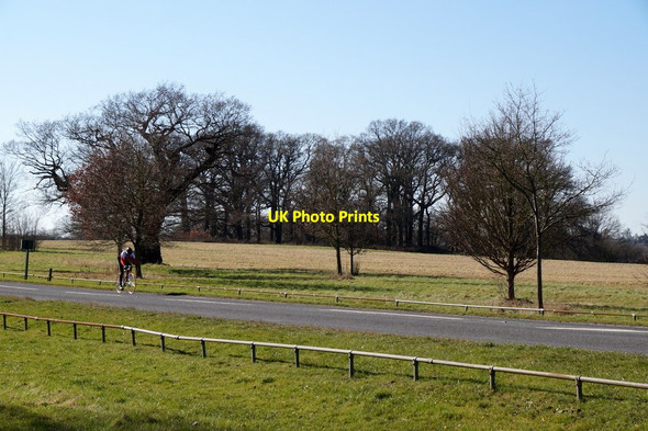 Photo 6"x4" Road passing through Windsor Great Park Windsor\/SU9676 c2018