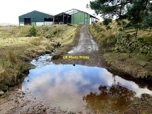 Photo 6"x4" Ford near Rattenraw Horsley\/NY8496 c2018