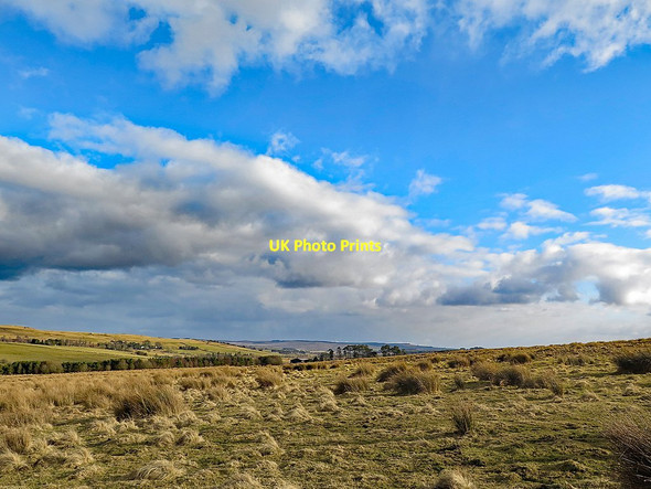 Photo 6"x4" Moorland west of Rattenraw Horsley\/NY8496 c2018