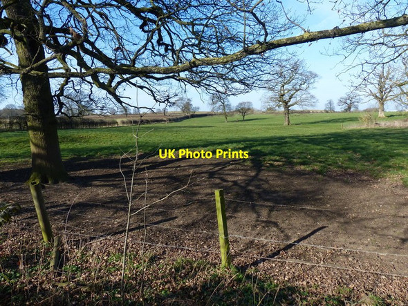 Photo 6"x4" The Park at Enderby Enderby c2018