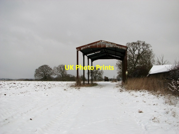 Photo 6"x4" Snowy path Surlingham c2018