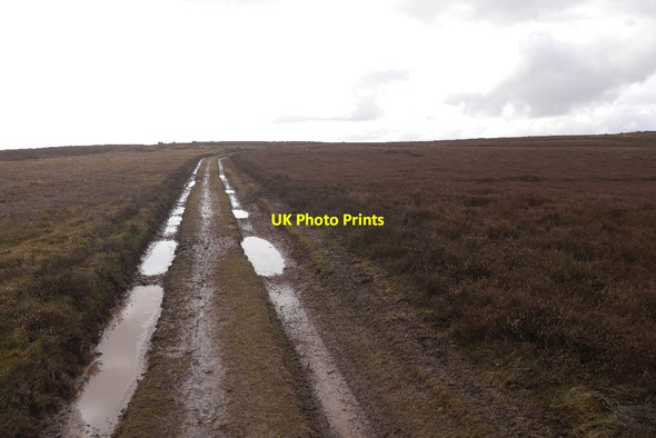 Photo 6"x4" Road on Llanbedr Hill Llanbedr\/SO1446 c2018