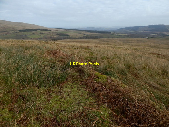 Photo 6"x4" The corner of a boundary Helensburgh c2018
