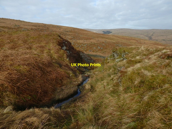 Photo 6"x4" The Green Burn Rhu\/NS2684 c2018