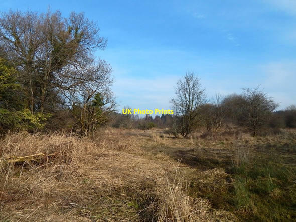Photo 6"x4" Marshy area beside the River Leven Dumbarton c2018