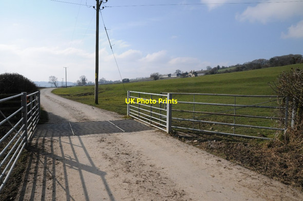 Photo 6"x4" Drive to Bank Farm Kington\/SO2956 c2018